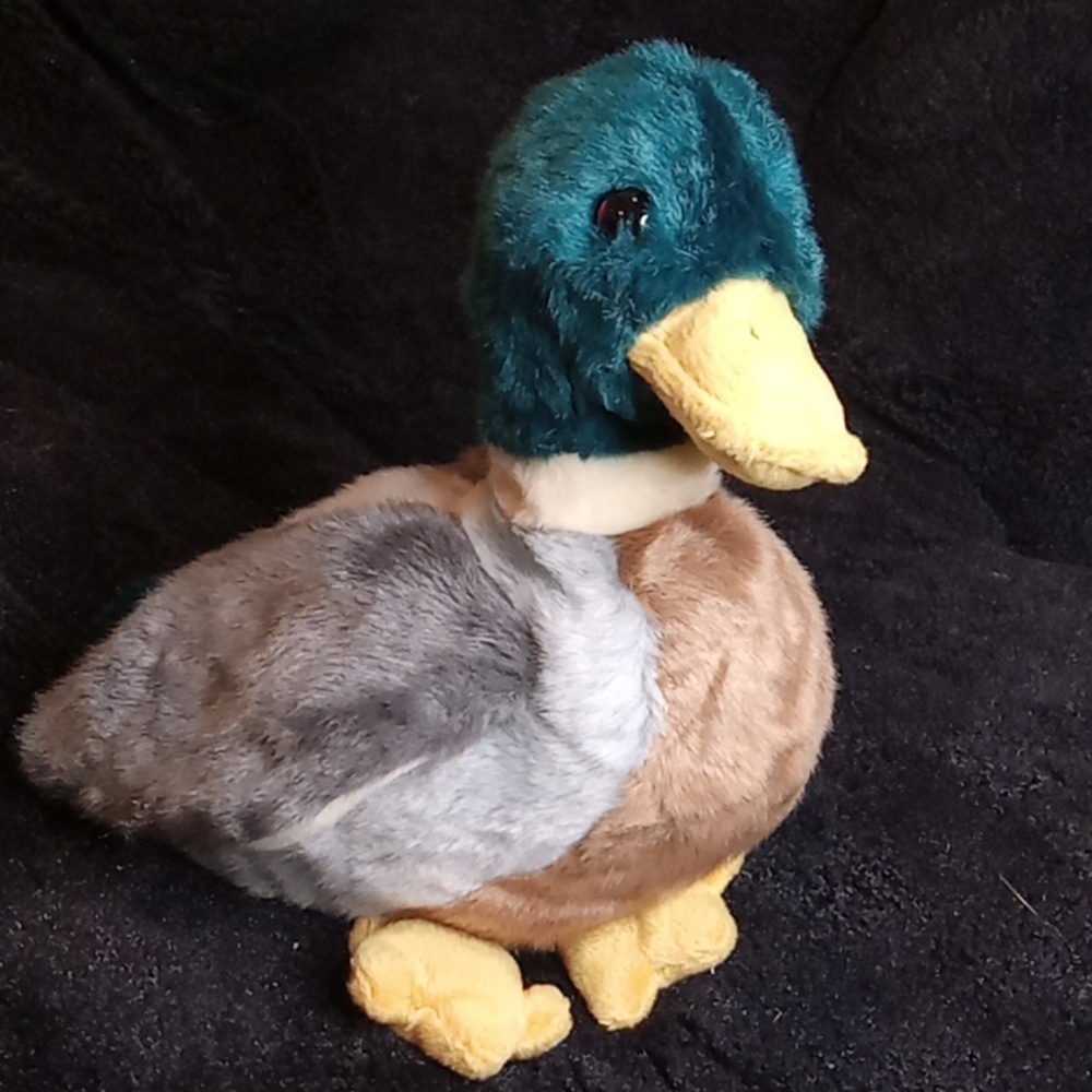 Jake the mallard duck Beanie Buddy